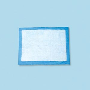 Tidi Absorbent Underpads Case 16653 By Tidi Products 
