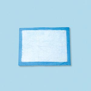 Tidi Absorbent Underpads Case 16660 By Tidi Products 