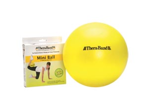 Hygenic/Thera-Band Pro Series Scp Exercise Balls Case 23085 By Hygenic/Theraband